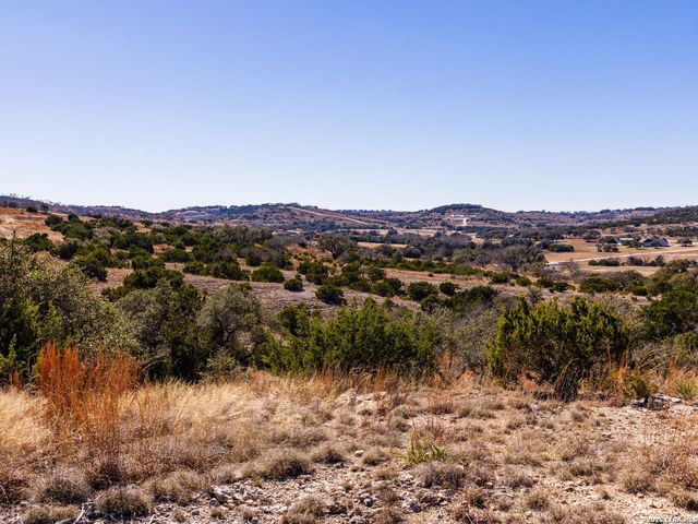 717 N Scenic Hills Court, Blanco, TX 78606