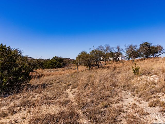 717 N Scenic Hills Court, Blanco, TX 78606
