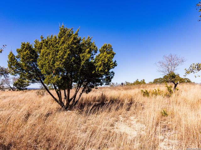 717 N Scenic Hills Court, Blanco, TX 78606