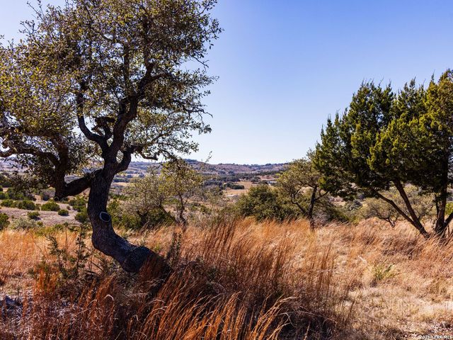 717 N Scenic Hills Court, Blanco, TX 78606