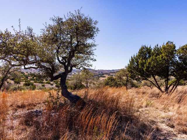 717 N Scenic Hills Court, Blanco, TX 78606