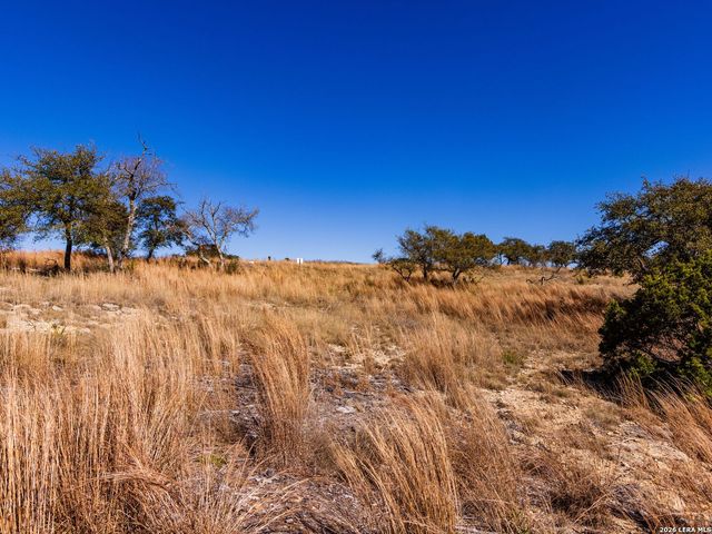 717 N Scenic Hills Court, Blanco, TX 78606