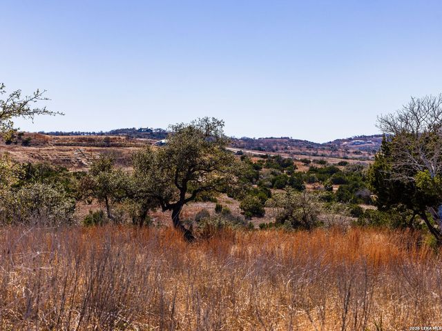 717 N Scenic Hills Court, Blanco, TX 78606