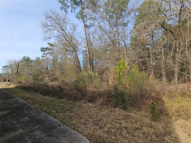 0 Roman Forest Blvd, New Caney, TX 77357