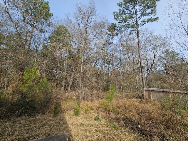 0 Roman Forest Blvd, New Caney, TX 77357