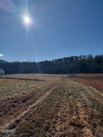 194 County Line Road, Dandridge, TN 37725