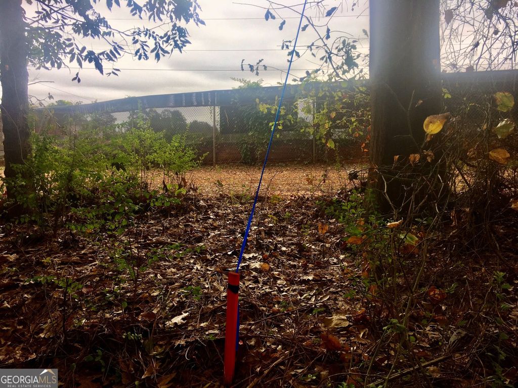 0 HWY 17 ALT, Toccoa, GA 30577 — photo 2