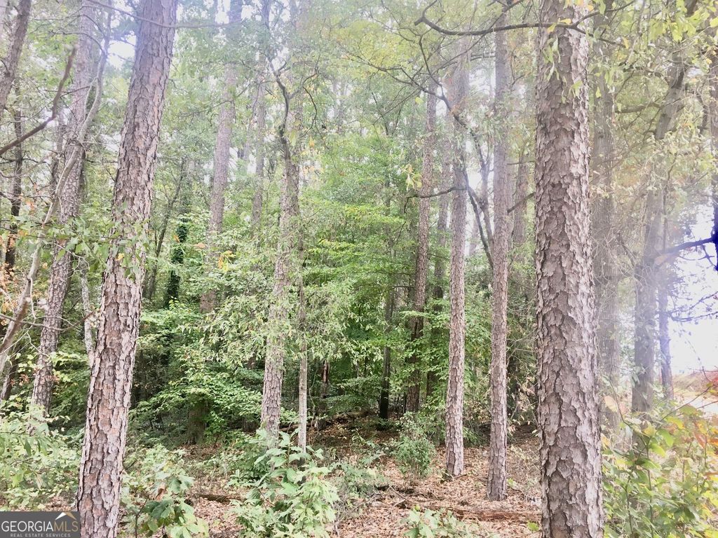 0 HWY 17 ALT, Toccoa, GA 30577 — photo 3