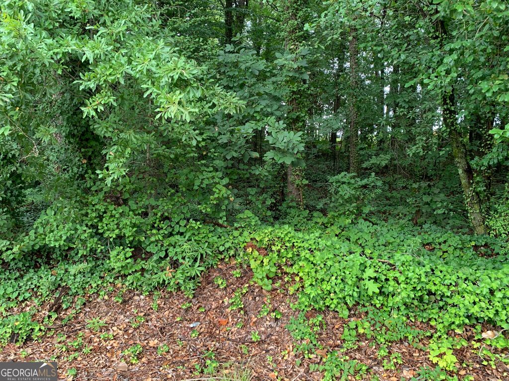 0 HWY 17 ALT, Toccoa, GA 30577 — photo 4