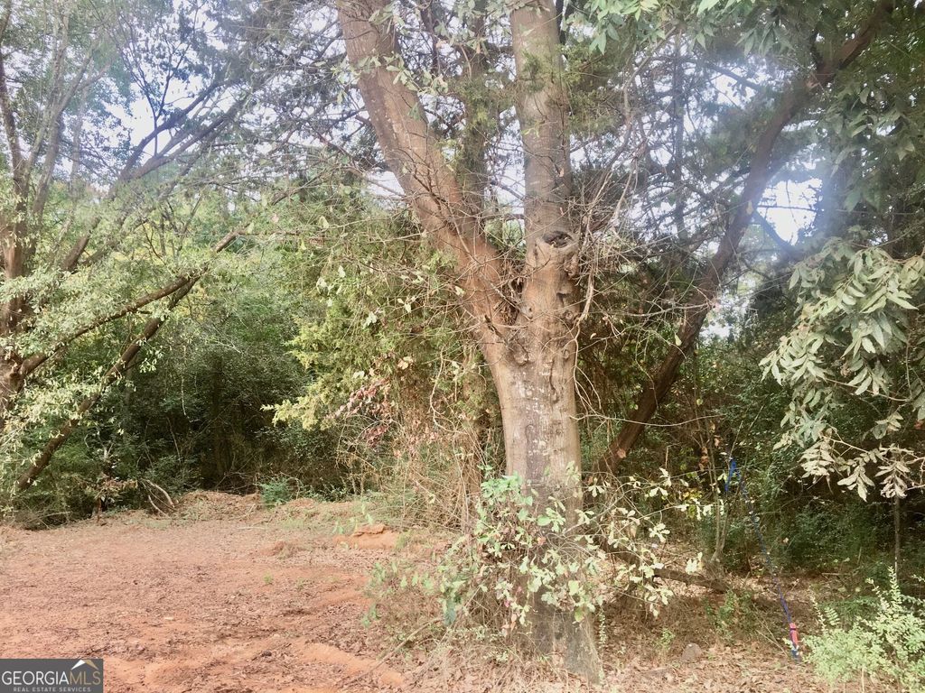 0 HWY 17 ALT, Toccoa, GA 30577 — photo 5