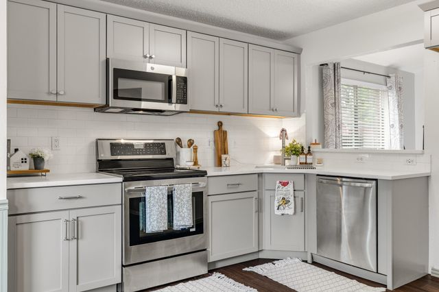 1137 Lake Haven Drive, Little Elm, TX 75068