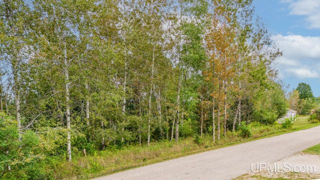 TBD Alice Lot B Avenue, Rapid River, MI 49878