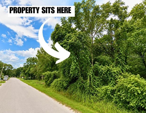 HELENA STREET, New Port Richey, FL 34654