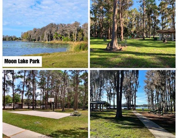 HELENA STREET, New Port Richey, FL 34654