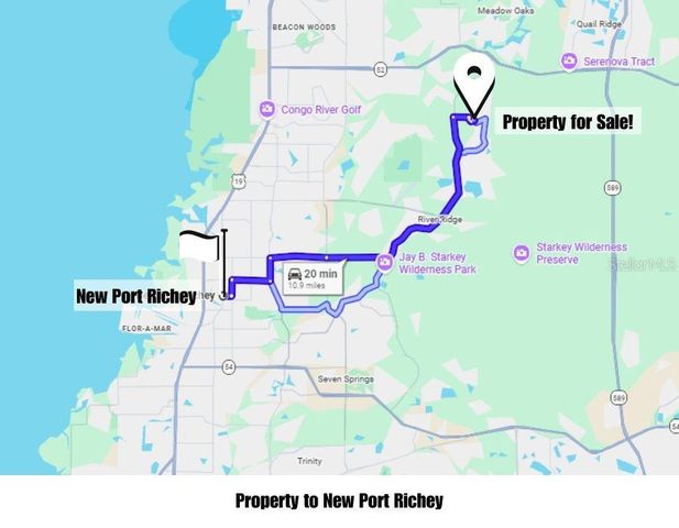 HELENA STREET, New Port Richey, FL 34654