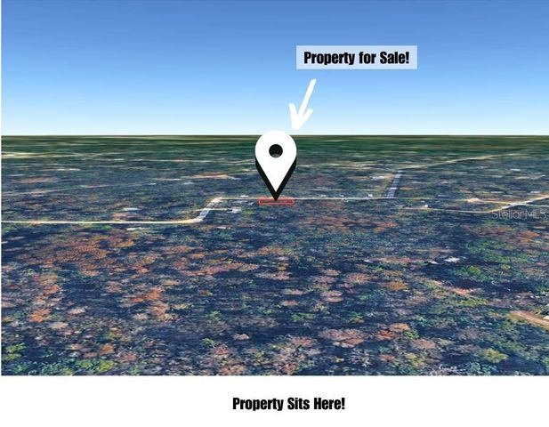 HELENA STREET, New Port Richey, FL 34654