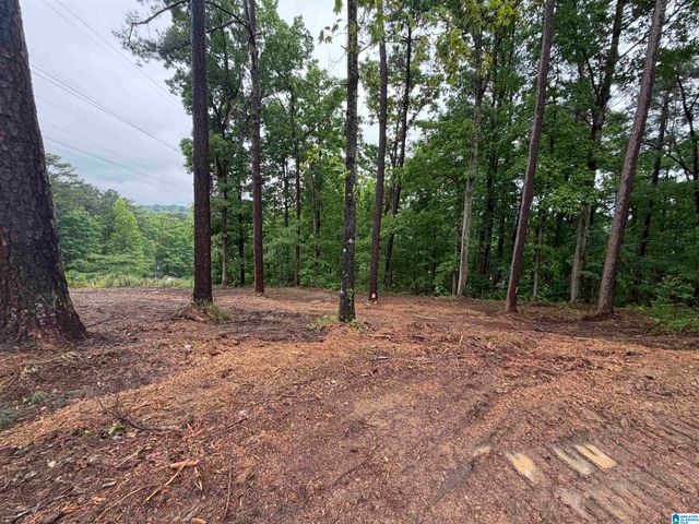 5130 CORNELL DRIVE, Irondale, AL 35210
