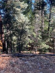 0 Forest, Twin Peaks, CA 02391