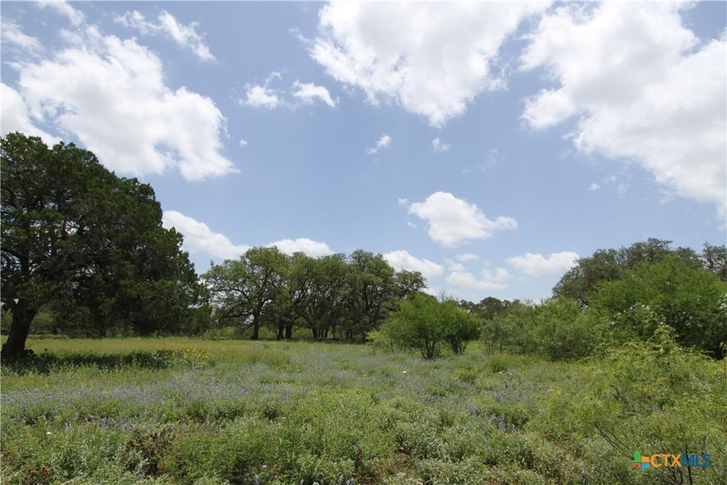 1210 Whispering Woods Trail, New Braunfels, TX 78132