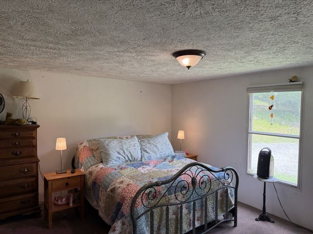 133 Cook Ln, Gainesboro, TN 38562