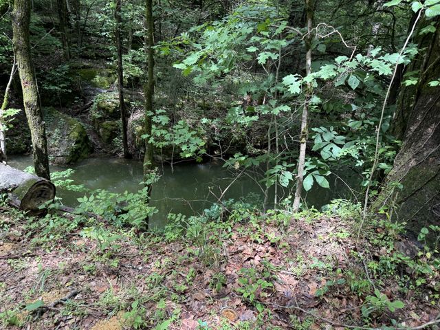 133 Cook Ln, Gainesboro, TN 38562