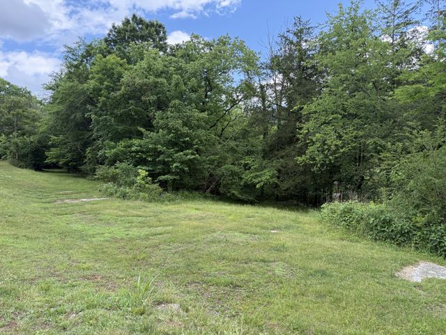 133 Cook Ln, Gainesboro, TN 38562