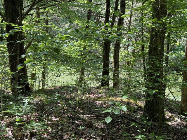 133 Cook Ln, Gainesboro, TN 38562