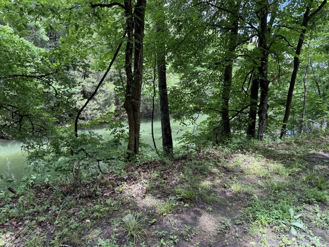 133 Cook Ln, Gainesboro, TN 38562