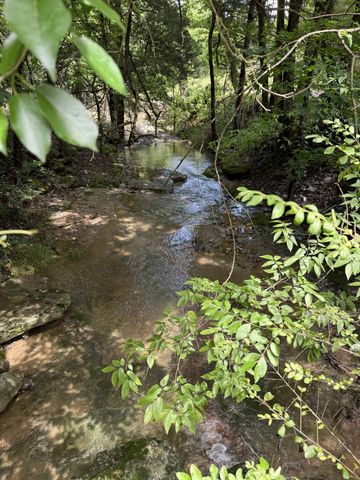 133 Cook Ln, Gainesboro, TN 38562