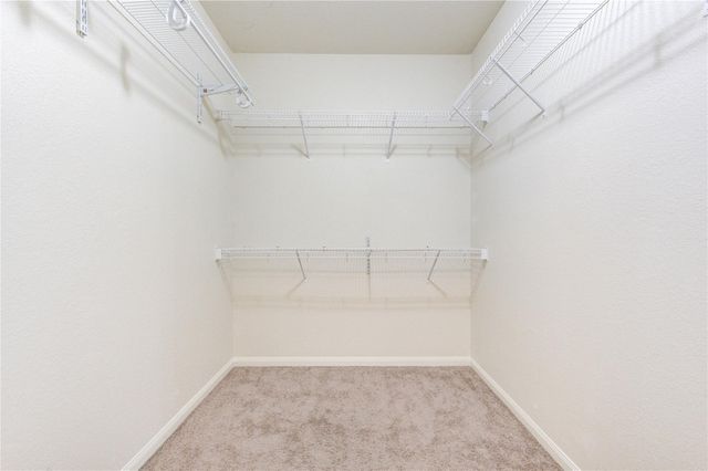 22534 Cloverland Field Drive, Hockley, TX 77447