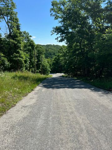 299 Beaver Road, Branson, MO 65616