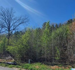 5924 HIGH FOREST DRIVE, Mccalla, AL 35111