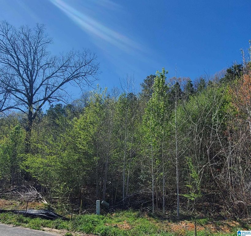 5924 HIGH FOREST DRIVE, Mccalla, AL 35111