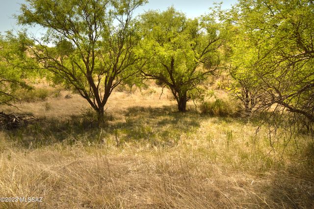 194 Tanglehead Lane Lot 23, Patagonia, AZ 85624