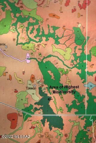 194 Tanglehead Lane Lot 23, Patagonia, AZ 85624