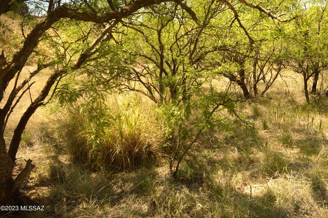 194 Tanglehead Lane Lot 23, Patagonia, AZ 85624