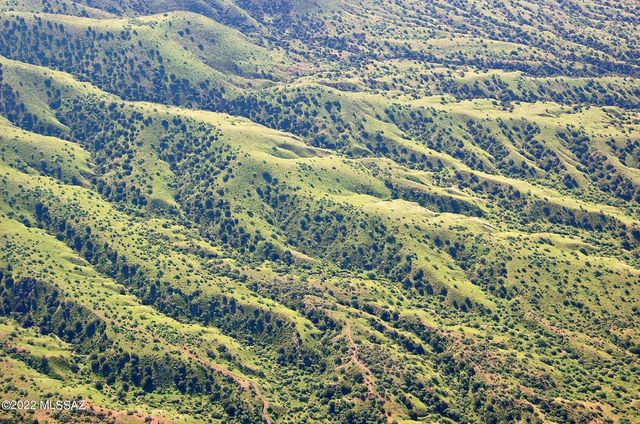 194 Tanglehead Lane Lot 23, Patagonia, AZ 85624