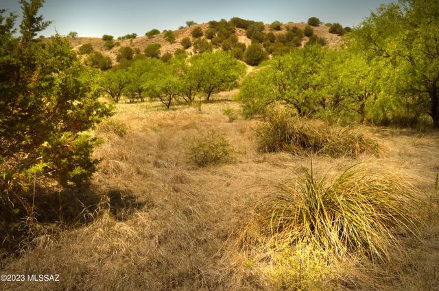 194 Tanglehead Lane Lot 23, Patagonia, AZ 85624