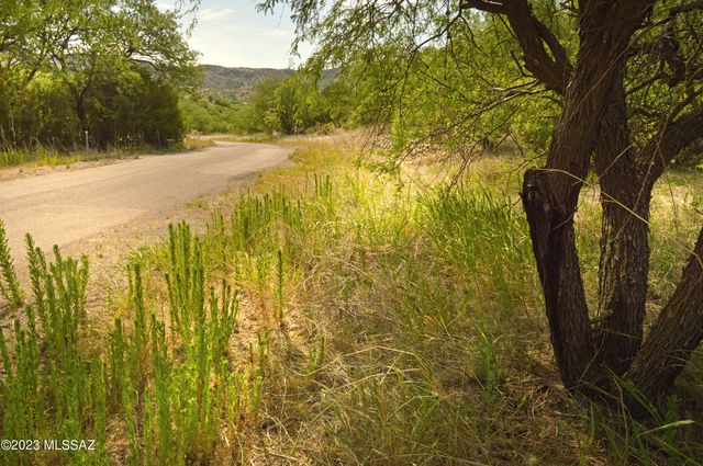 194 Tanglehead Lane Lot 23, Patagonia, AZ 85624