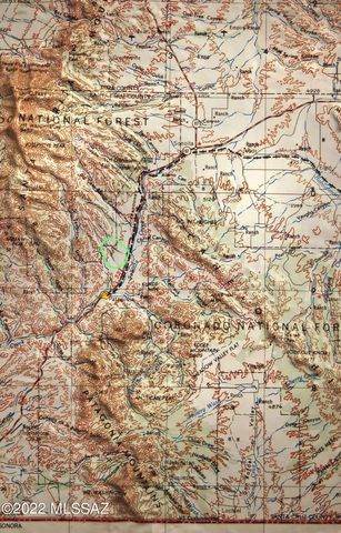 194 Tanglehead Lane Lot 23, Patagonia, AZ 85624