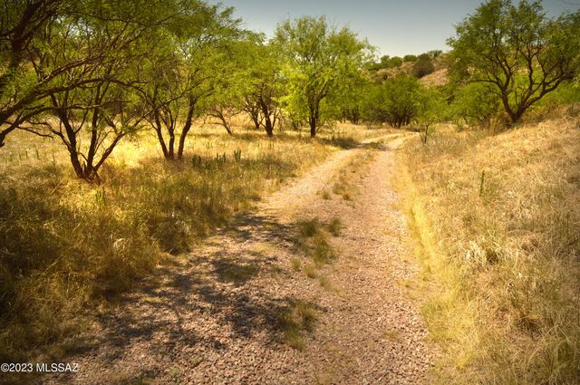 194 Tanglehead Lane Lot 23, Patagonia, AZ 85624