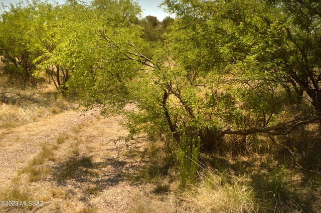 194 Tanglehead Lane Lot 23, Patagonia, AZ 85624