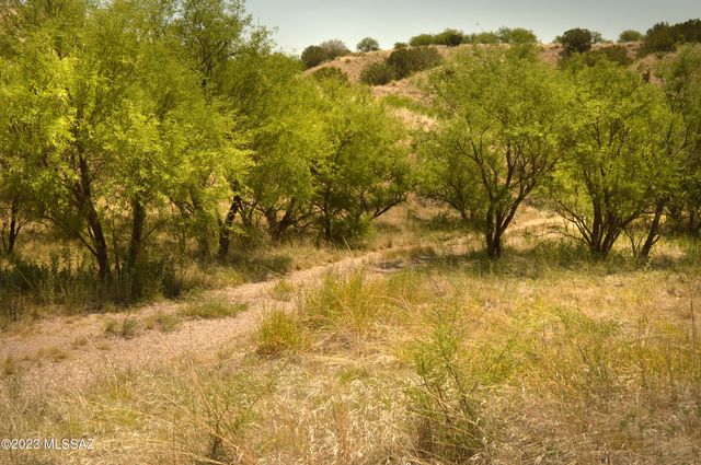 194 Tanglehead Lane Lot 23, Patagonia, AZ 85624