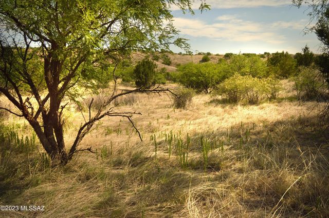 194 Tanglehead Lane Lot 23, Patagonia, AZ 85624