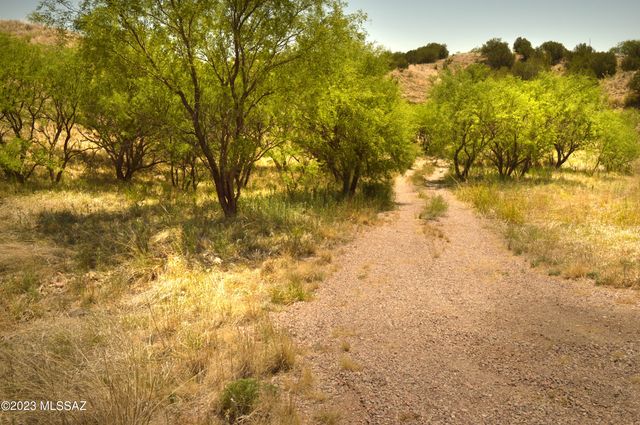 194 Tanglehead Lane Lot 23, Patagonia, AZ 85624