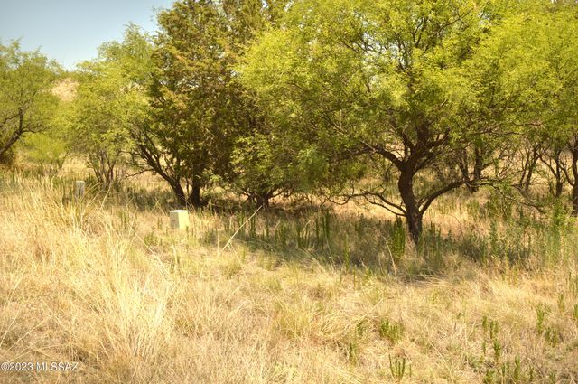 194 Tanglehead Lane Lot 23, Patagonia, AZ 85624