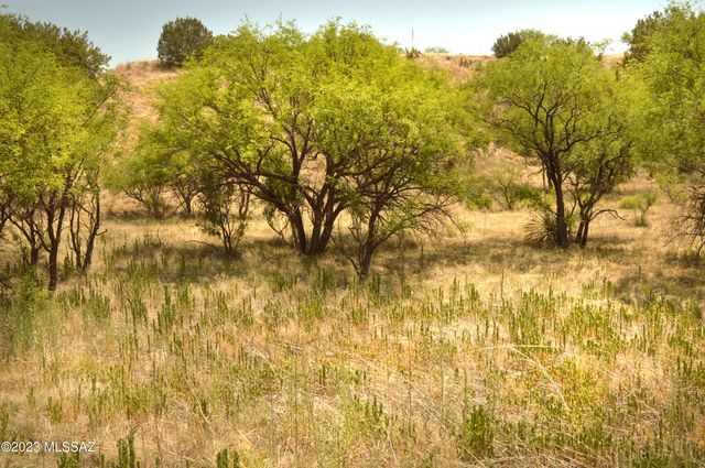 194 Tanglehead Lane Lot 23, Patagonia, AZ 85624