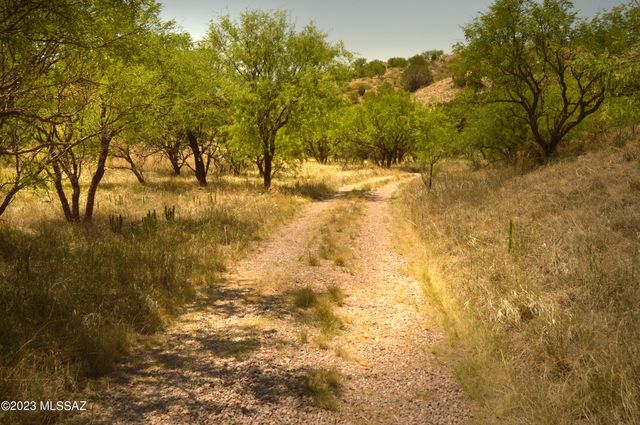 194 Tanglehead Lane Lot 23, Patagonia, AZ 85624