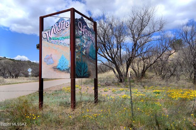 194 Tanglehead Lane Lot 23, Patagonia, AZ 85624