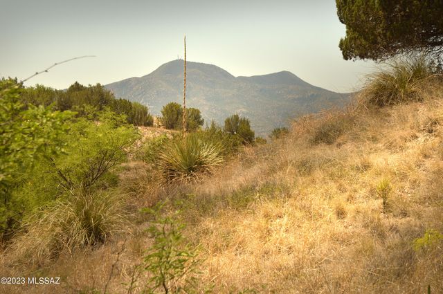 194 Tanglehead Lane Lot 23, Patagonia, AZ 85624